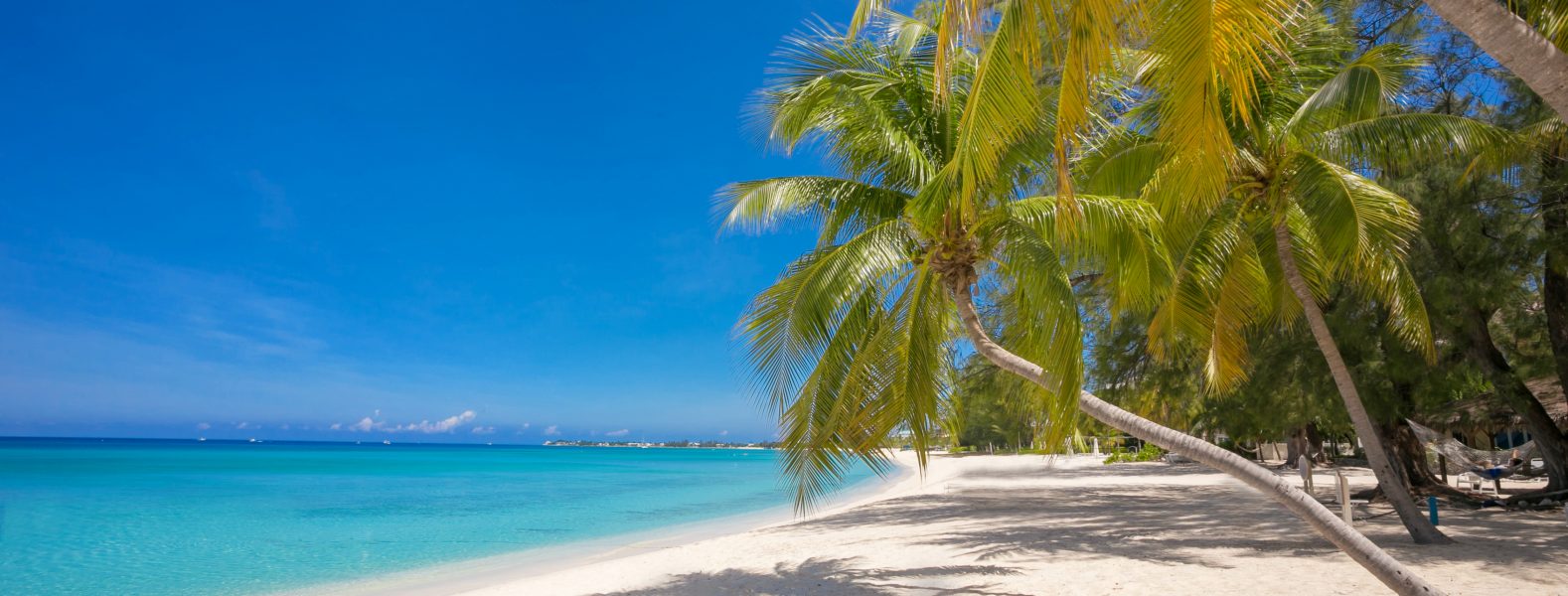 The Ultimate Guide To Buying Cayman Islands Real Estate — Property