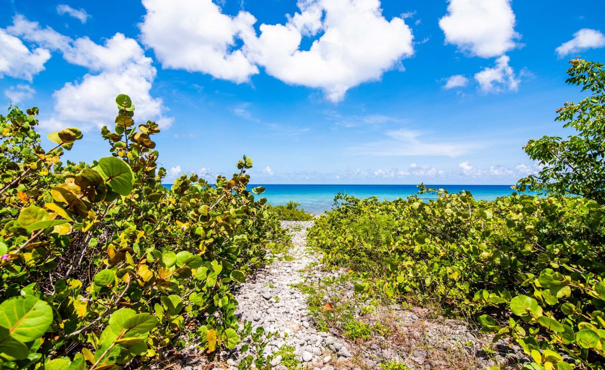 CAYMAN BRAC OCEANFRONT LAND - LOT 2