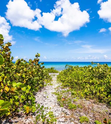 CAYMAN BRAC OCEANFRONT LAND - LOT 2