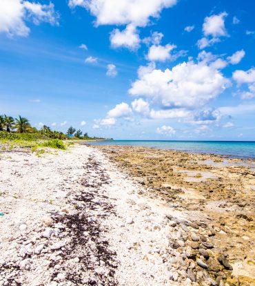 CAYMAN BRAC OCEANFRONT LAND - LOT 2