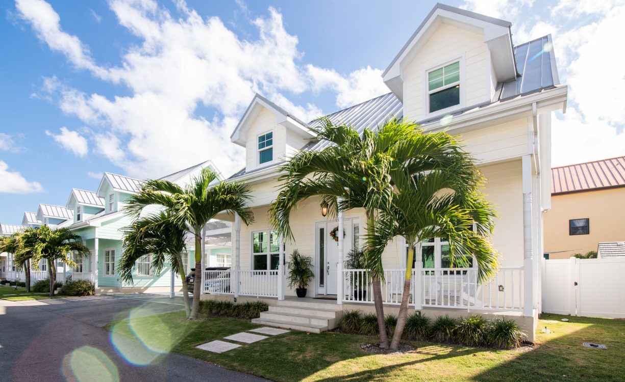 THE PLANTATION #14