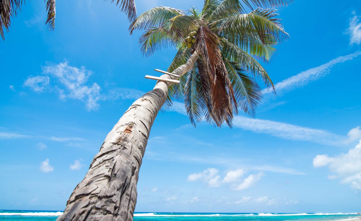 GUN BAY BEACH FRONT LAND
