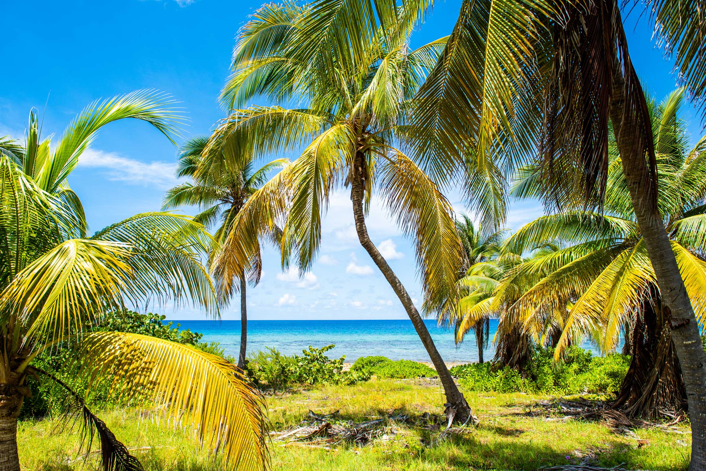 Little Cayman Beachfront Parcel 74 — Property Cayman