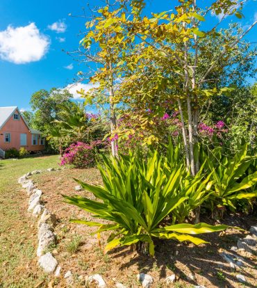 SEAVIEW ROAD LAND WITH CAYMANIAN COTTAGE