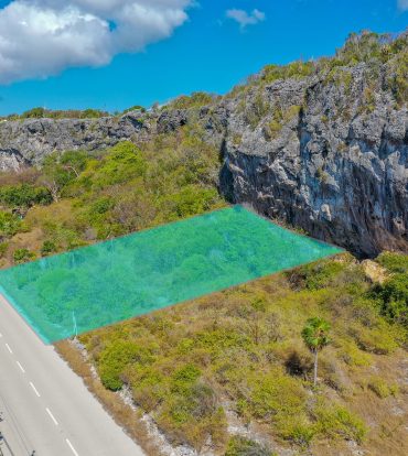 CAYMAN BRAC SOUTH SIDE LAND