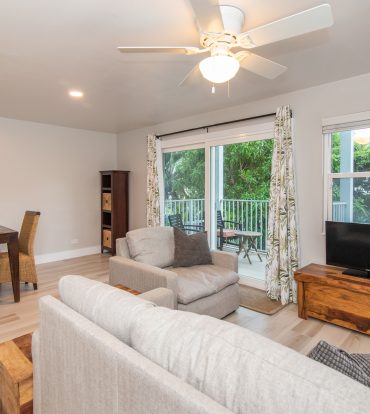 SEAGULL 17