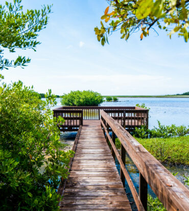 CAYMAN BRAC LAND 484, 0.24 ACRES