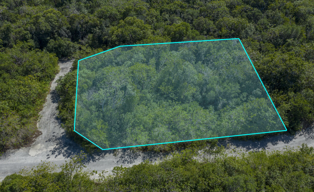 CAYMAN BRAC LAND 484, 0.24 ACRES