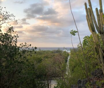 77 POLACK DRIVE, BRAC LAND