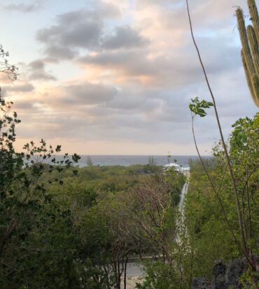 77 POLACK DRIVE, BRAC LAND
