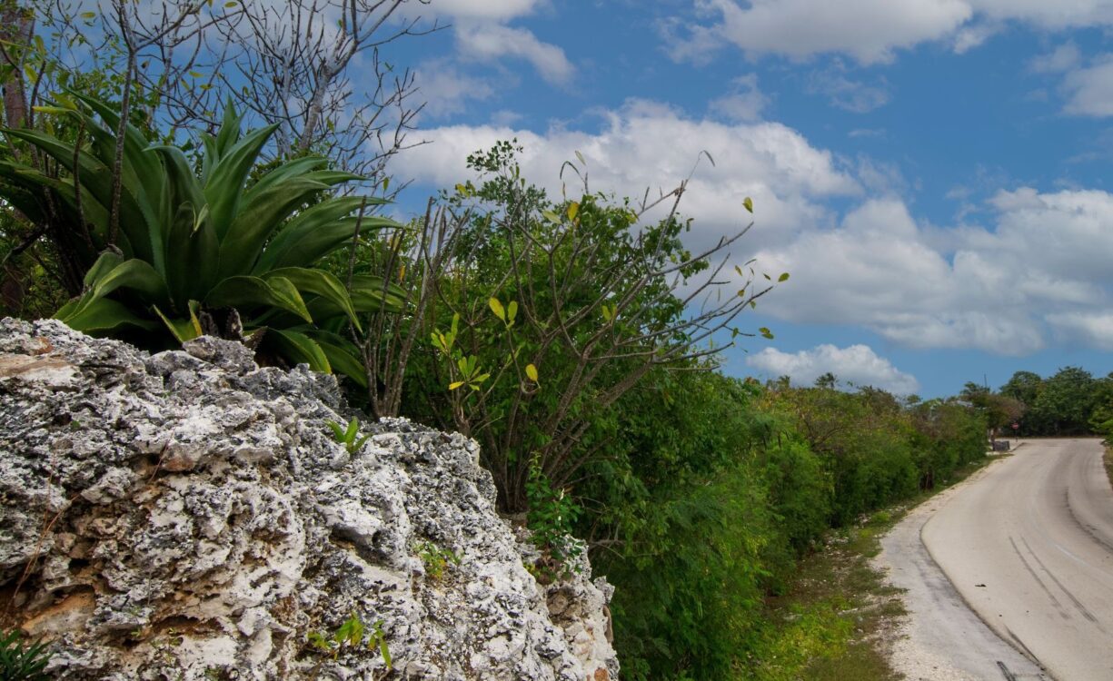 77 POLACK DRIVE, BRAC LAND