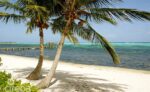 STUNNING OCEANFRONT LOT