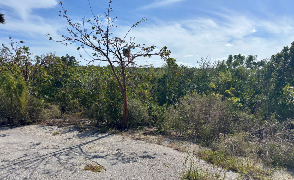 LITTLE CAYMAN EAST LOT - .5 ACRES