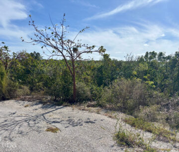 LITTLE CAYMAN EAST LOT - .5 ACRES