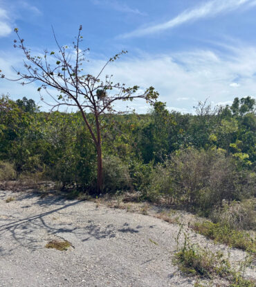 LITTLE CAYMAN EAST LOT - .5 ACRES