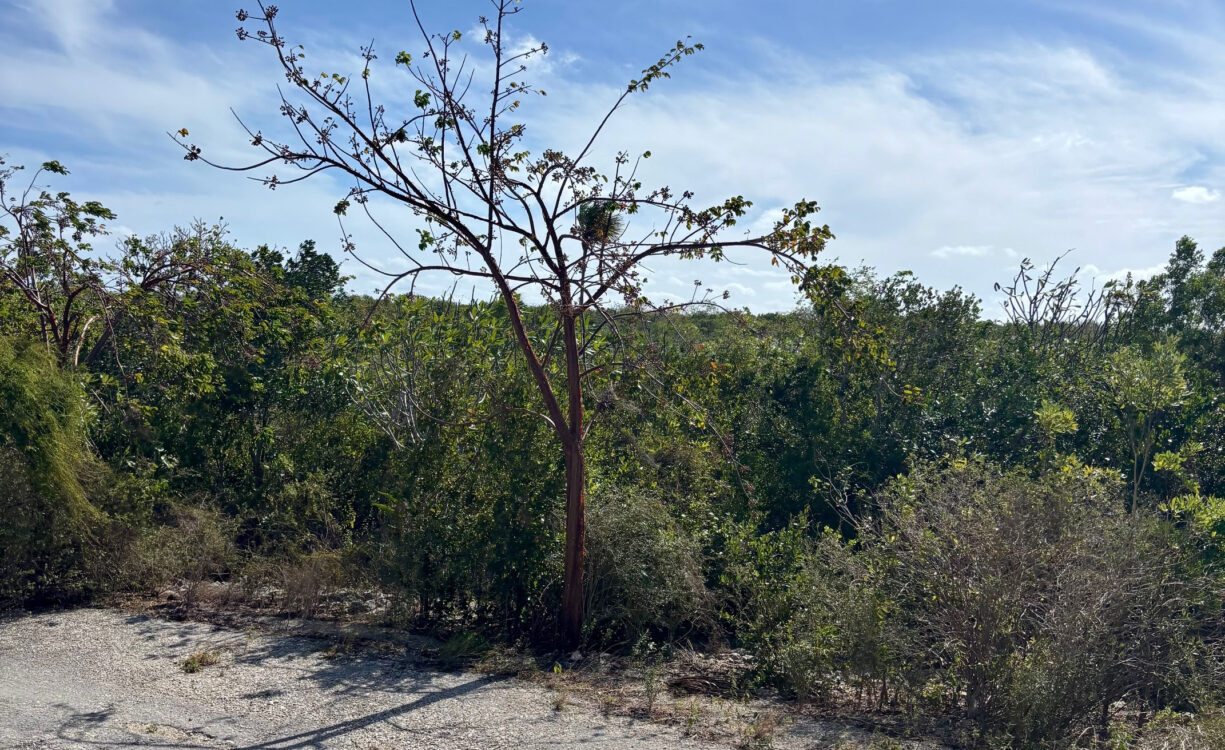 LITTLE CAYMAN EAST LOT - .5 ACRES