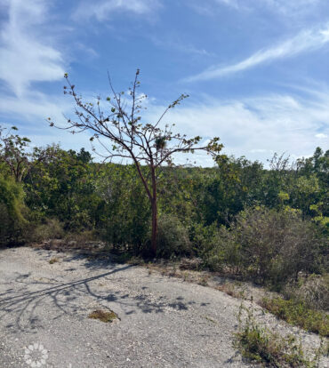 LITTLE CAYMAN EAST LOT - .5 ACRES