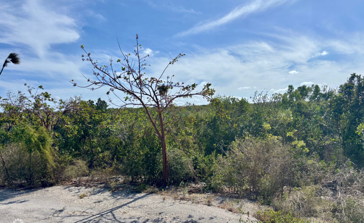 LITTLE CAYMAN EAST LOT - .5 ACRES
