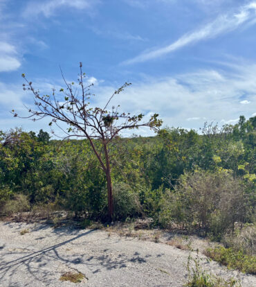 LITTLE CAYMAN EAST LOT - .5 ACRES