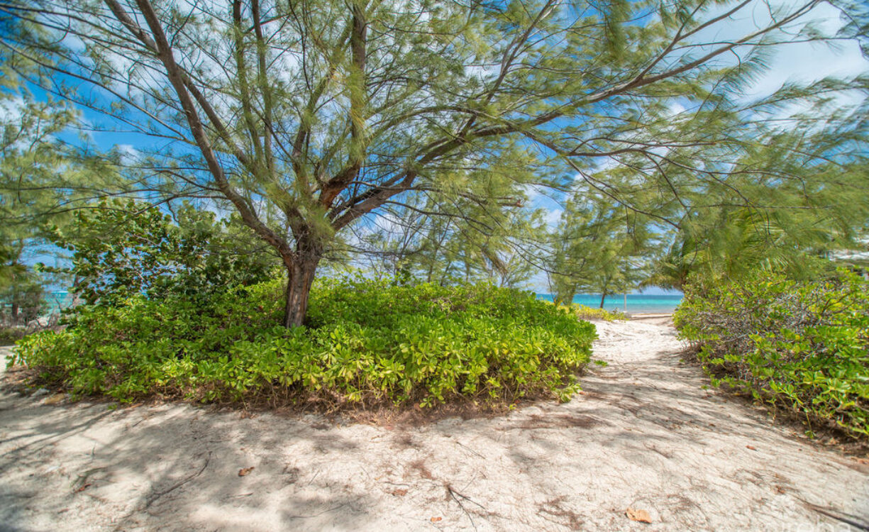 THE SAND BLUFF ESTATE | GUN BAY, EAST END