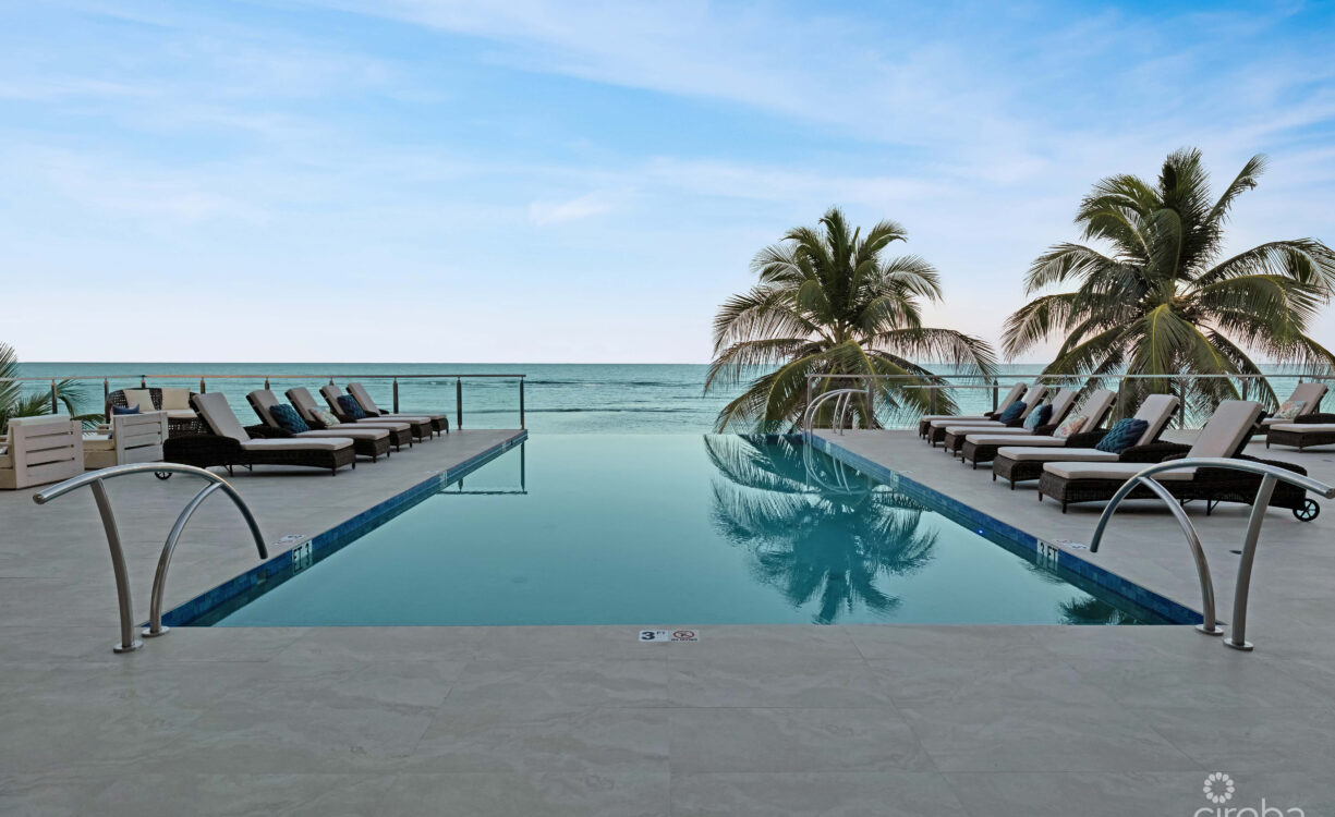 TIMELESS PARADISE