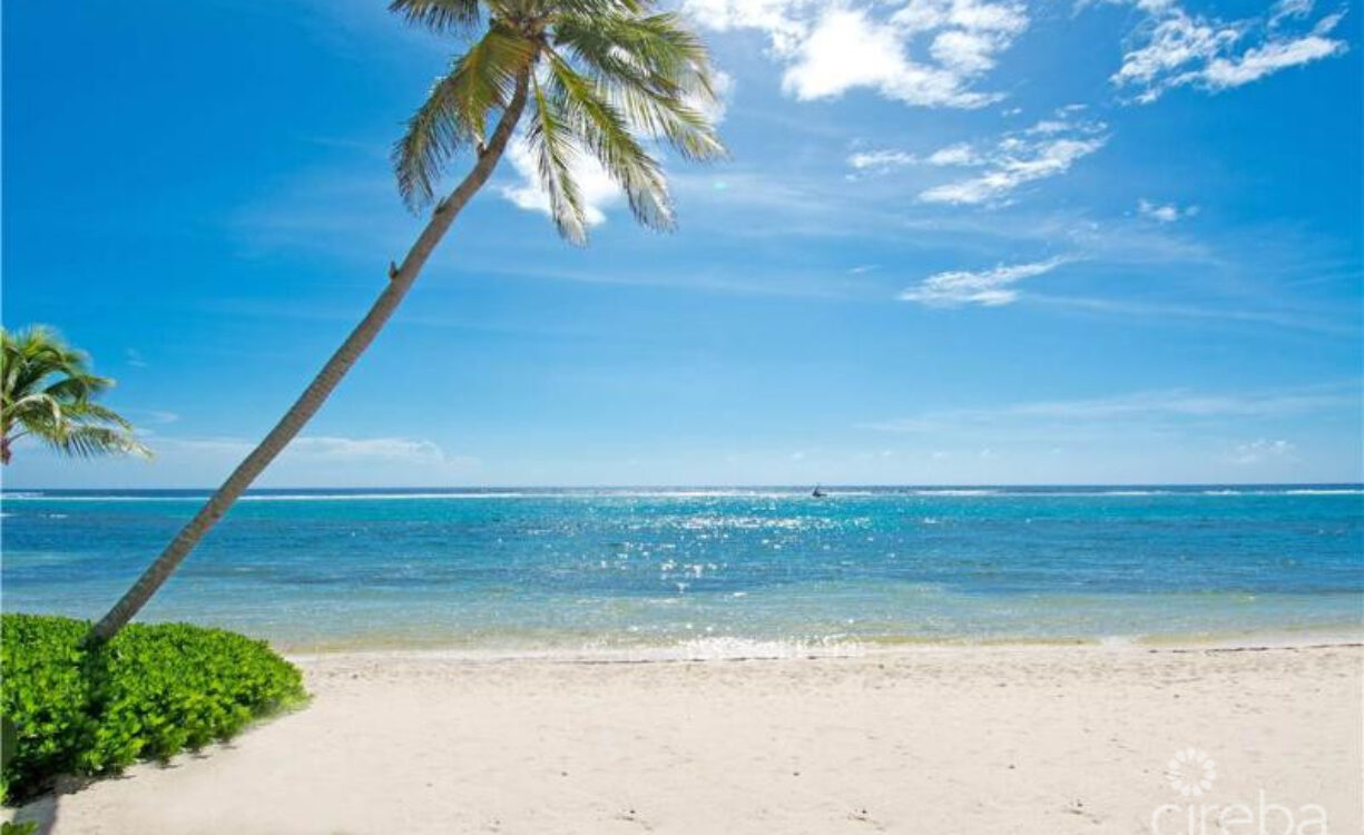 CARIBBEAN PARADISE #2