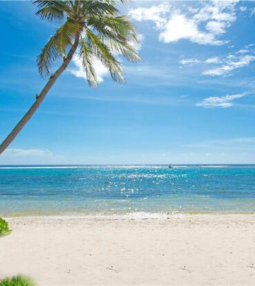 CARIBBEAN PARADISE #2