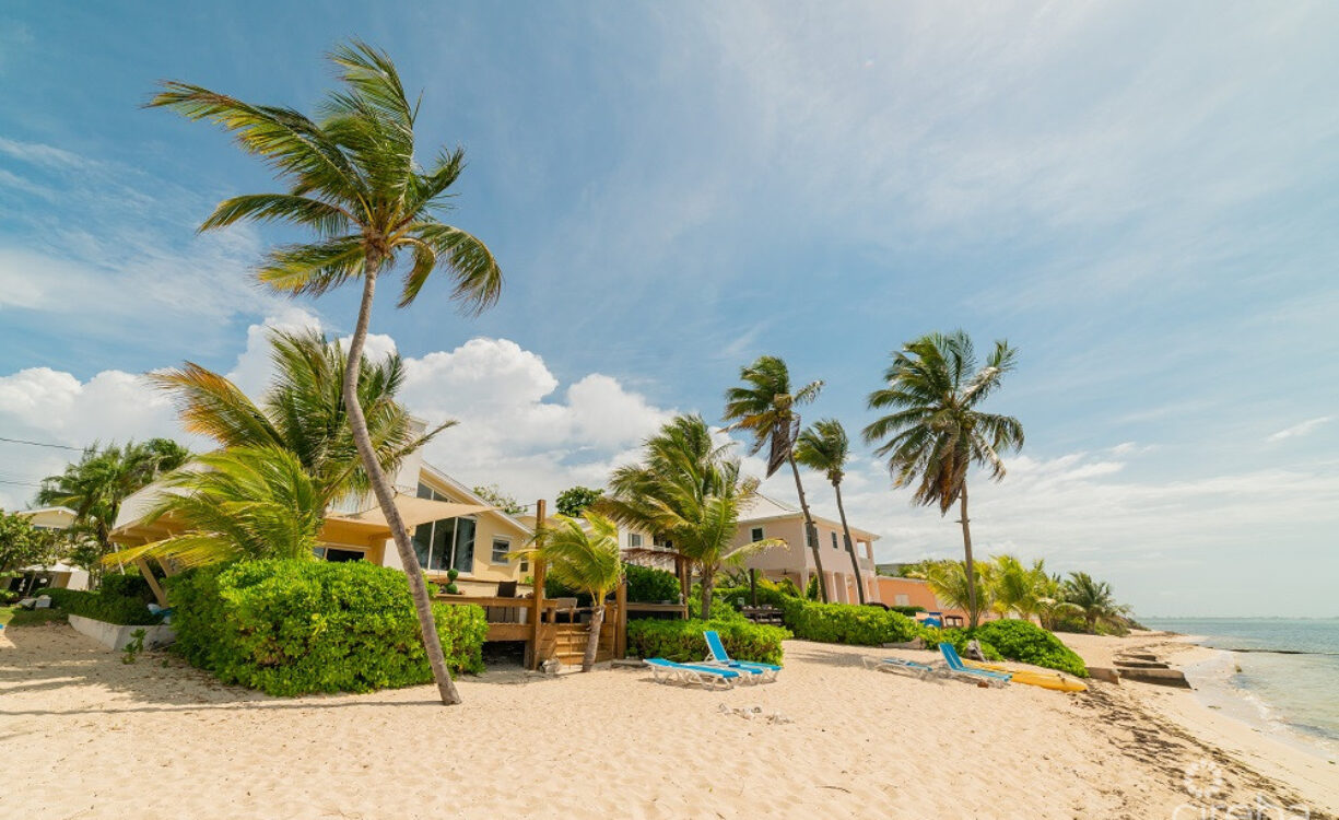 CARIBBEAN PARADISE #2