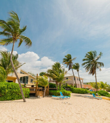 CARIBBEAN PARADISE #2