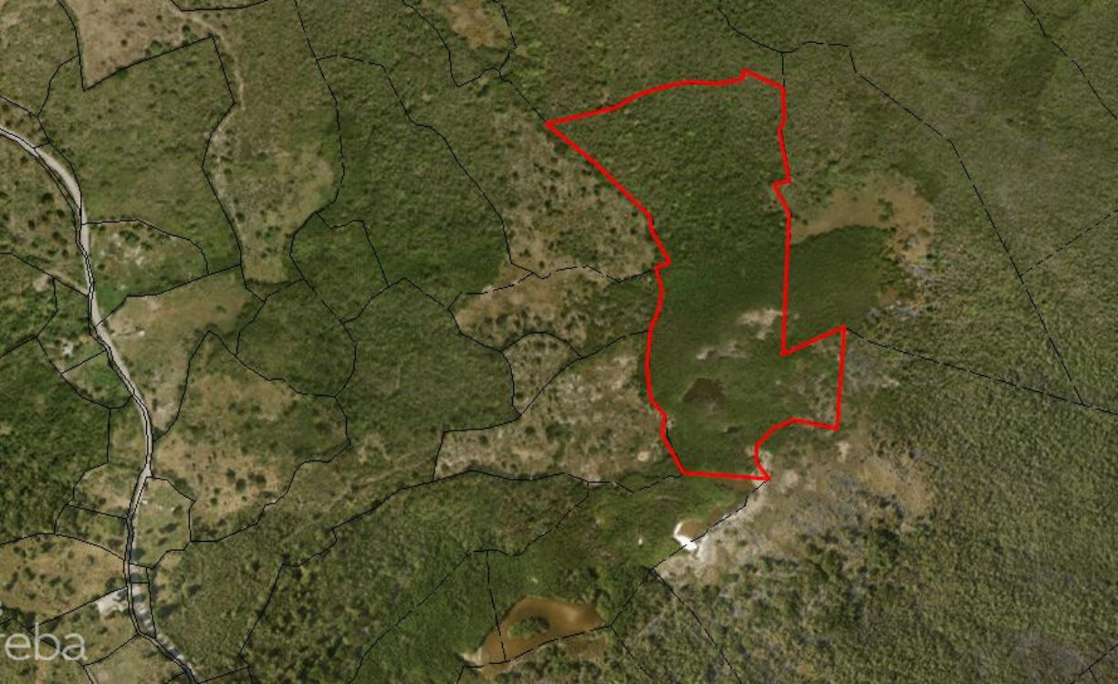 EAST INTERIOR LAND