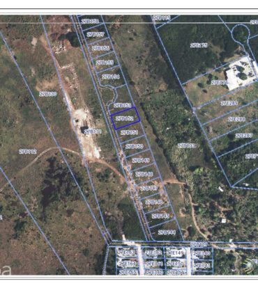 SAVANNAH POINTE