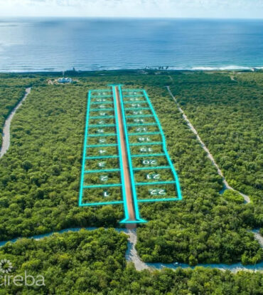 CAYMAN BRAC BLUFF (ISABELLA ESTATES  LOT # 20)