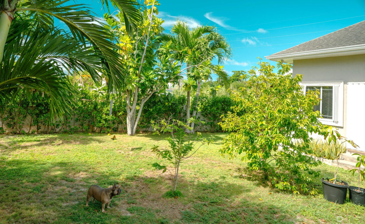 PRIVATE FENCED OUTDOOR AREA OFFERING FLEXIBILITY FOR PETS, GARDENING OR RELAXATION - 4 BEDROOM BEAUTIFUL FAMILY HOME IN SAVANNAH