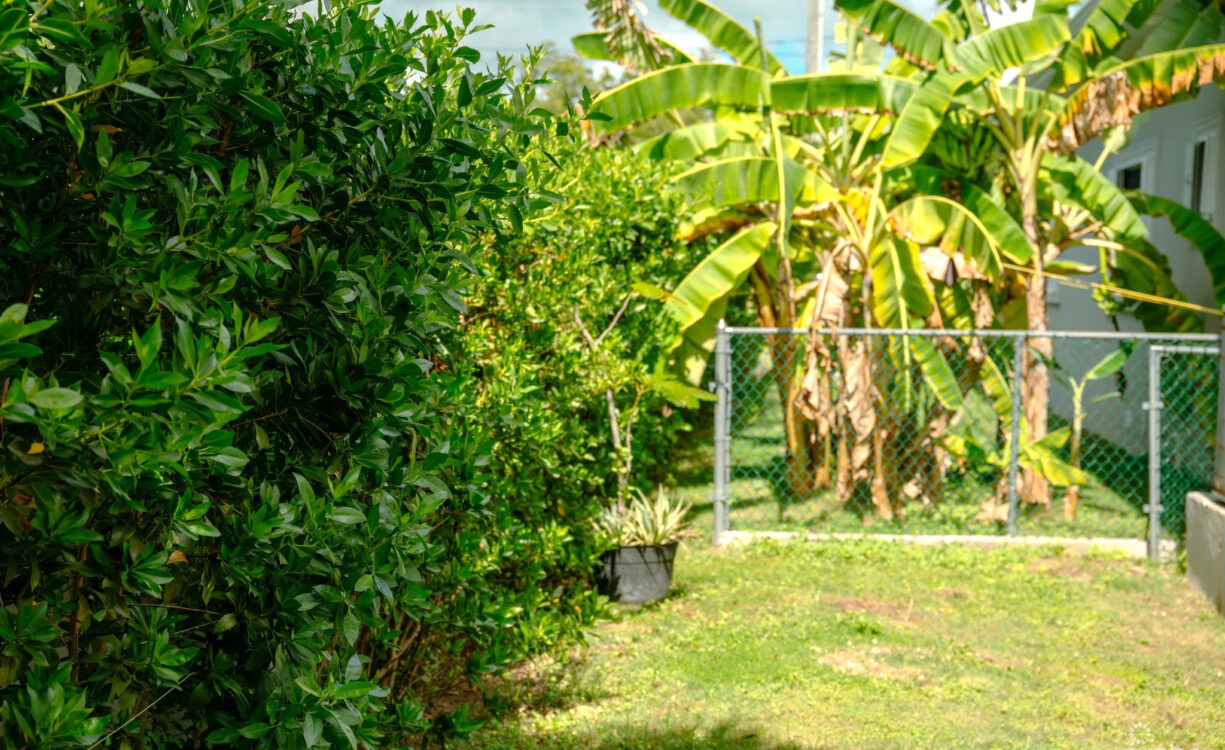 VERSATILE OUTDOOR AREA WITH A FULLY FENCED SECTION, PERFECT FOR PETS OR GARDENING - 4 BEDROOM BEAUTIFUL FAMILY HOME IN SAVANNAH