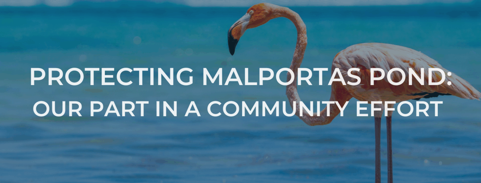 Protecting Malportas Pond