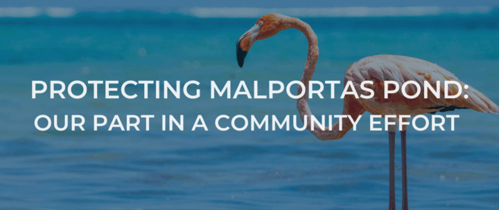 Protecting Malportas Pond