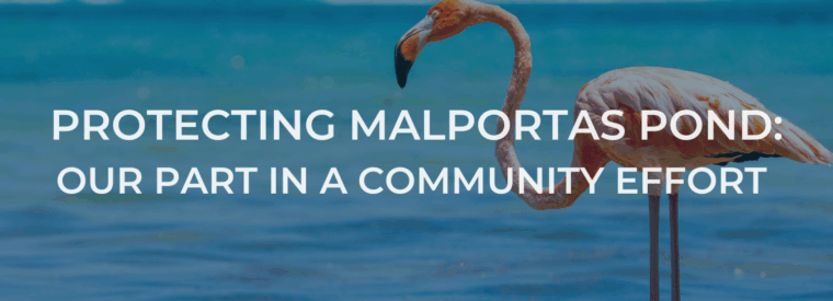 Protecting Malportas Pond