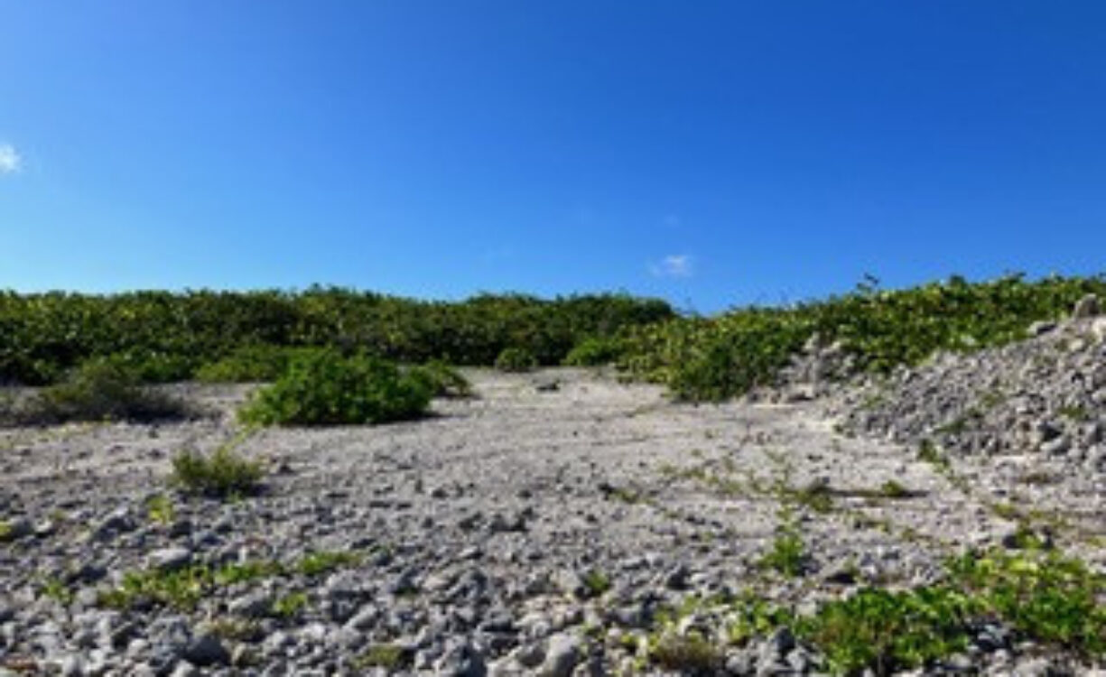 PRE-CONSTRUCTED SEAGLASS VILLA OCEANFRONT LAND