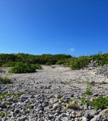 PRE-CONSTRUCTED SEAGLASS VILLA OCEANFRONT LAND