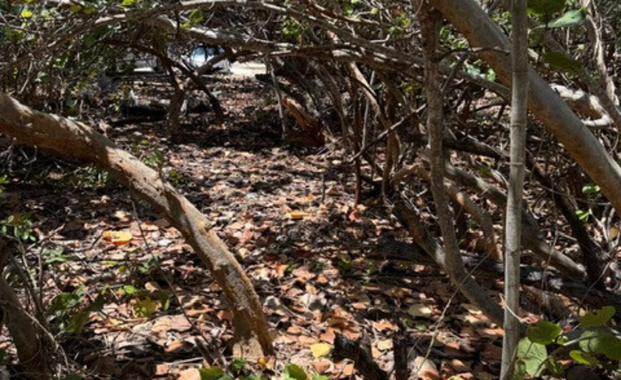 PRE-CONSTRUCTED SEAGLASS VILLA OCEANFRONT LAND