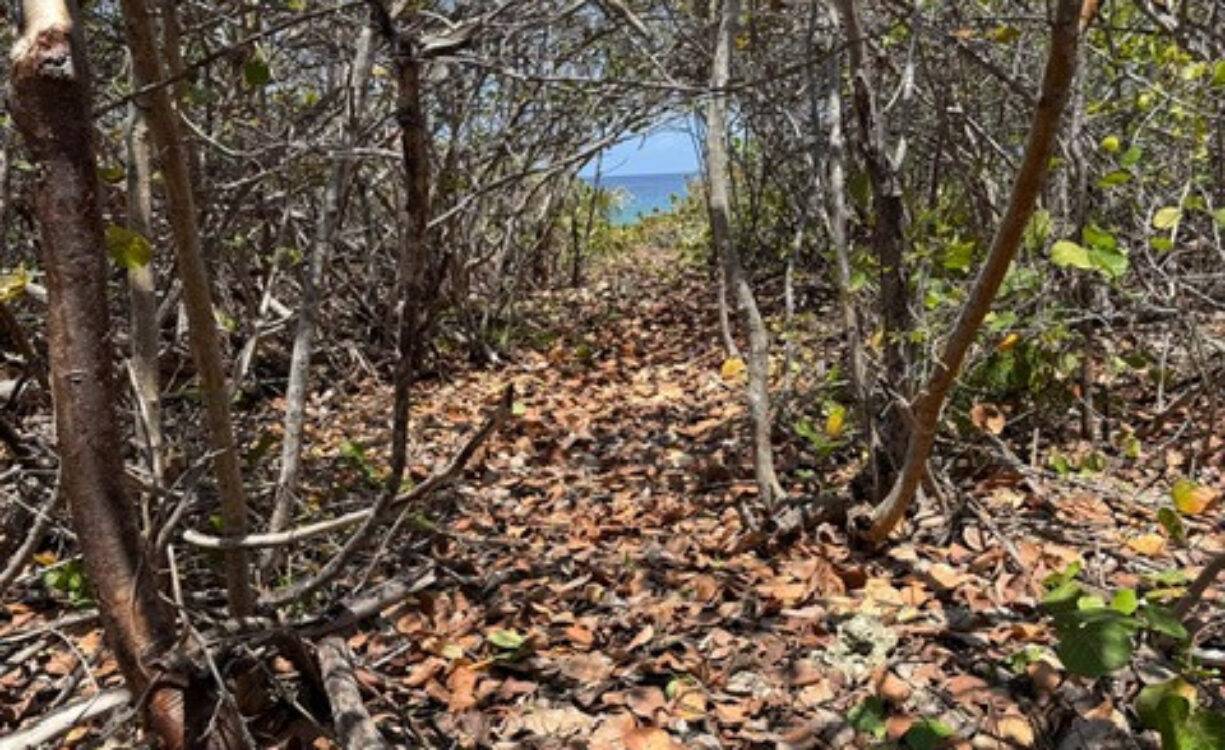 PRE-CONSTRUCTED SEAGLASS VILLA OCEANFRONT LAND