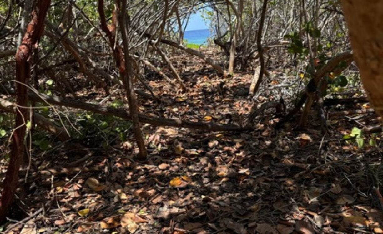 PRE-CONSTRUCTED SEAGLASS VILLA OCEANFRONT LAND