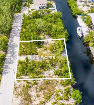 GREEN STREET 0.23 ACRES, SAVANNAH CANAL-FRONT