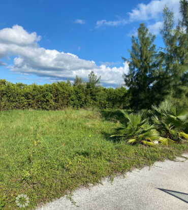 PEASE BAY LAKES LAKEFRONT LOT