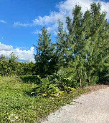 PEASE BAY LAKES LAKEFRONT LOT