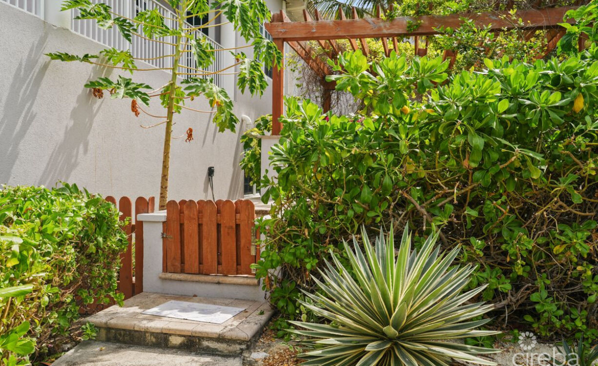 OUR CAYMAN COTTAGE