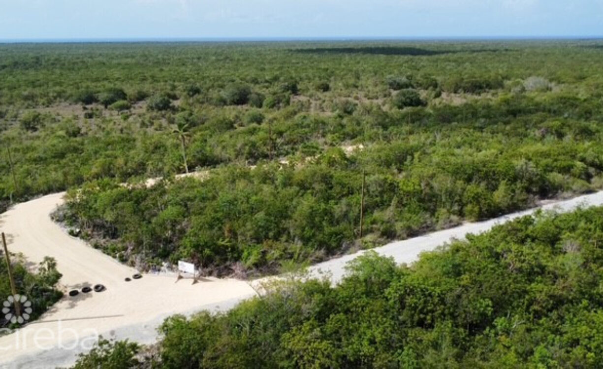 BLUFF LAND - CAYMAN BRAC EAST - LOT #3