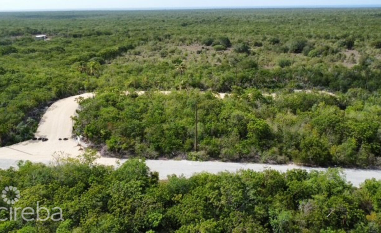 BLUFF LAND - CAYMAN BRAC EAST - LOT #3