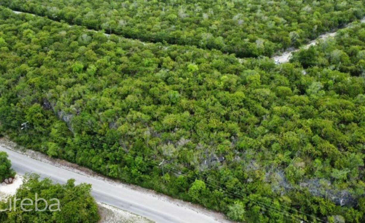 BLUFF LAND - CAYMAN BRAC EAST - LOT #3