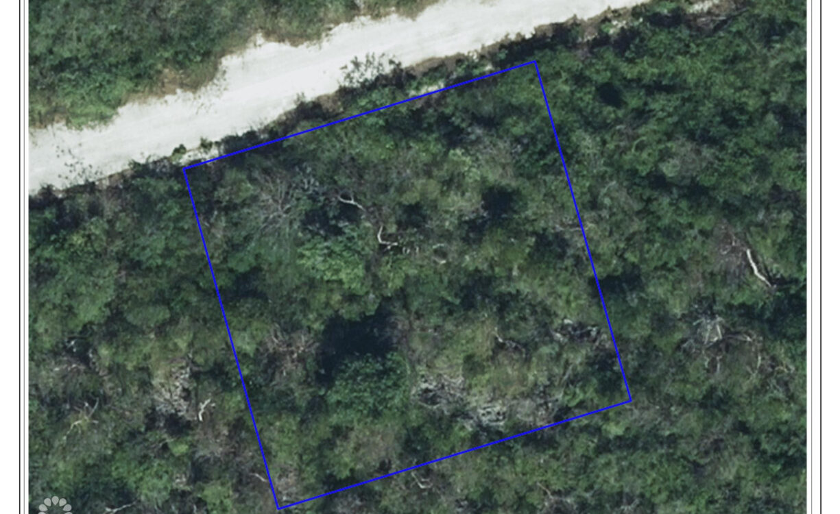 CAYMAN BRAC BLUFF LOT - BOOBY BIRD DR.